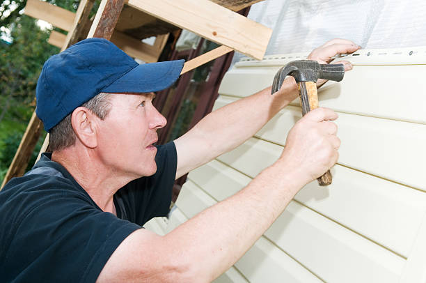 Best Fascia and Soffit Installation  in Denison, IA