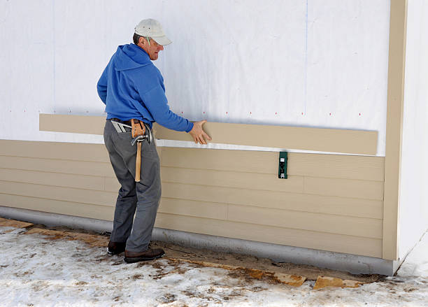 Best Storm Damage Siding Repair  in Denison, IA