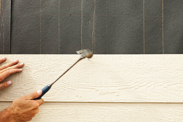 Best Composite Siding  in Denison, IA